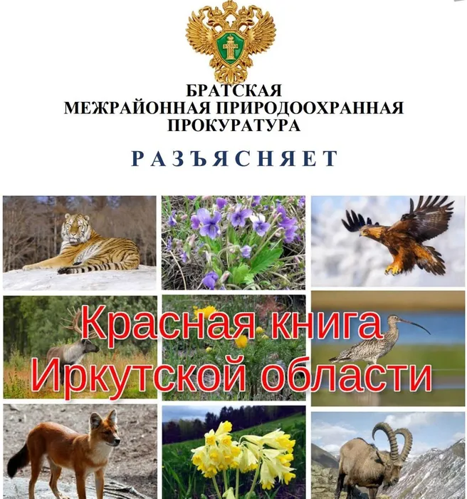 Снимок экрана 2026-07-16 154522
