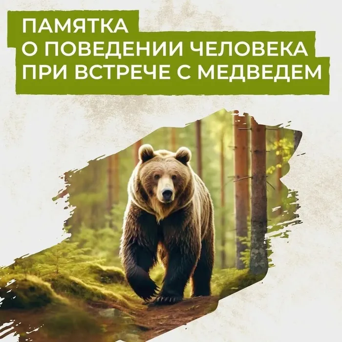 WxBo6XuSIakC6cDc4H4XpbK0x48ALROIoqUYf3WfD6N817DZqV2WTl73AxBqRAGtE8MdaGpacyWl8duby6BRVgk-