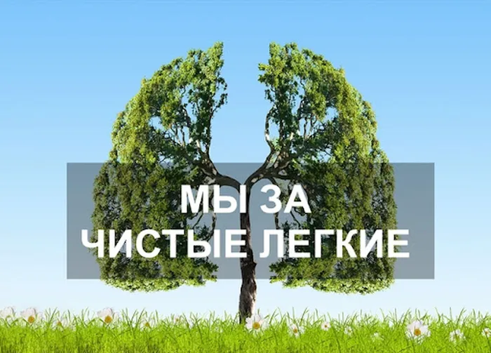 кртинка на сайт