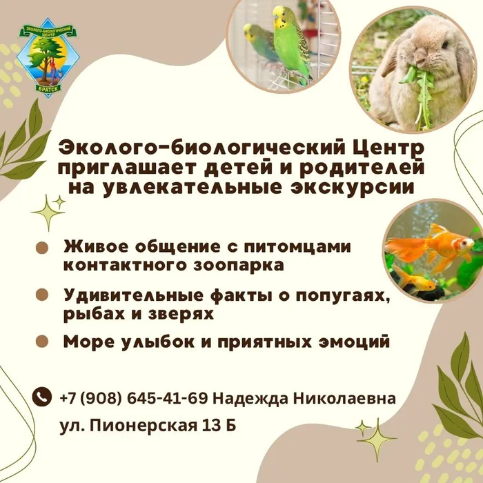 tT-NLU7bsz69Aoh-8wFfye2J5R2cU4YelJKinM6Au_z1PbsgSDnZqT_MUwcUMyA-JXZ0zcg6uhoEDe9cPvTNsswd